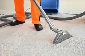 How Professional Carpet Cleaning Enhances Your Living Environment