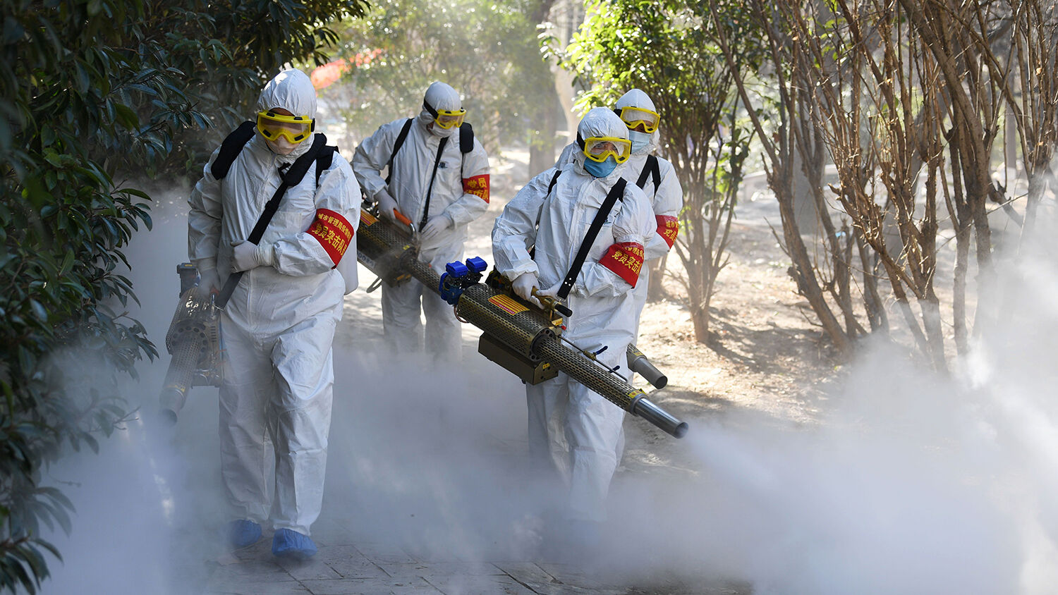 Fumigation Services in Islamabad Comprehensive pest control service