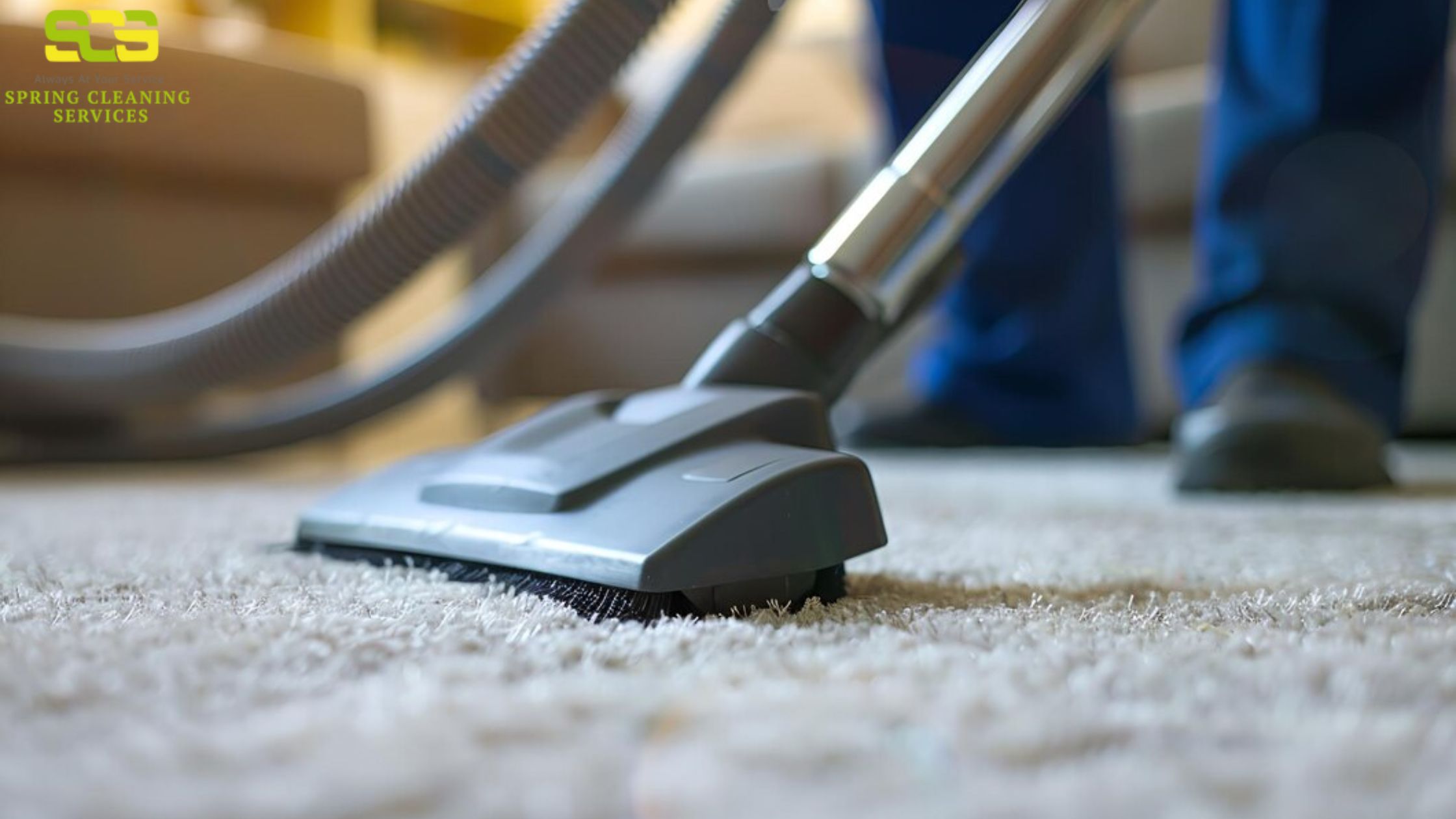 Professional Carpet Cleaning: Elevating Home Comfort