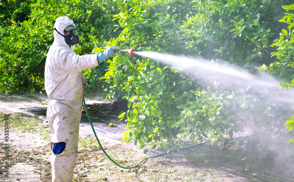 Pest Exterminator Near Me and Guide to Fumigation Control Services