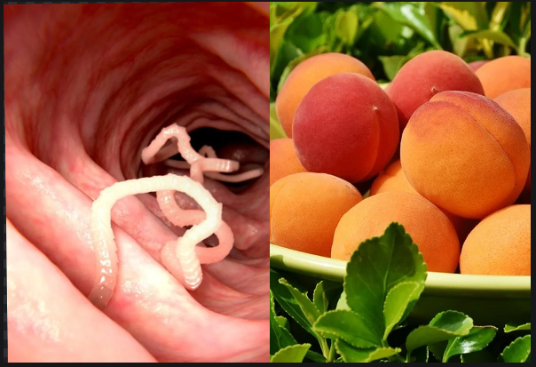 How Do peach leaves help with stomach worms?