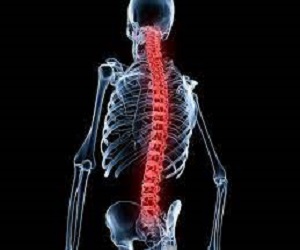 Unlocking Relief: Baclofen 10mg for Spinal Cord Injury and Muscle Pain